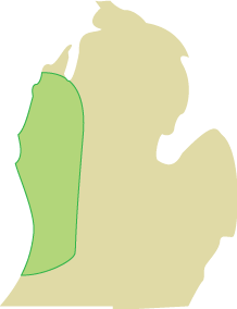 Evergreen Landscaping - Holland Michigan - Service Area