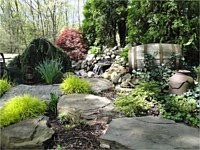 Landscape Design