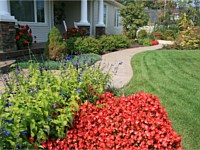 Outdoor Living/Hardscapes