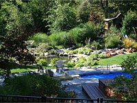 Landscape Design