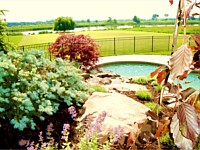 Landscape Design